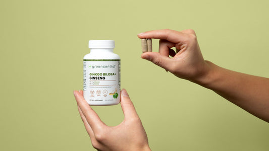 The Power of Ginkgo Biloba and Ginseng in Modern Wellness