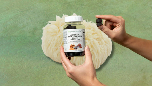 The Science Behind Lion's Mane Mushroom Supplements